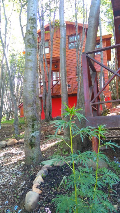 Cabanas Bosque Del Faldeo Ushuaia Luaran gambar